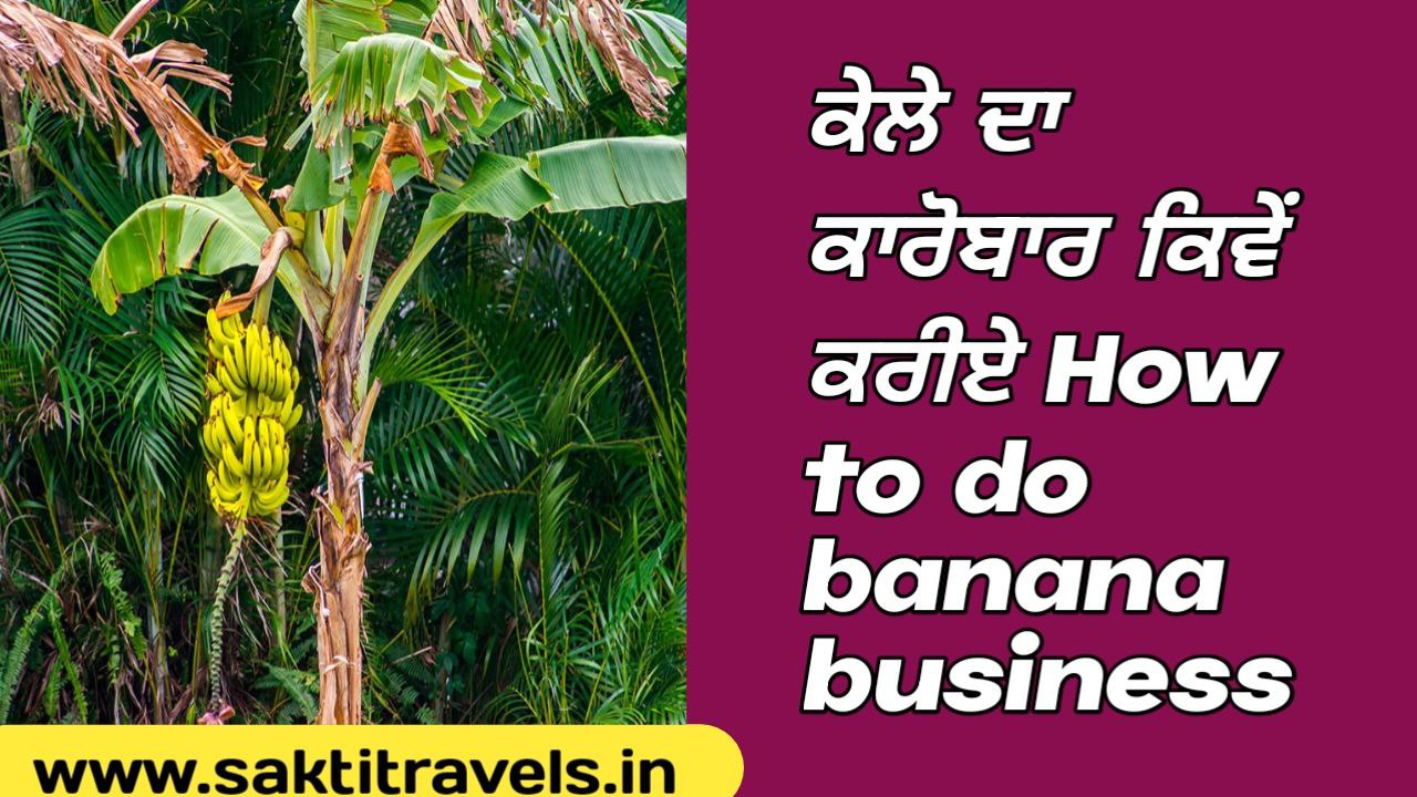 How to do banana business