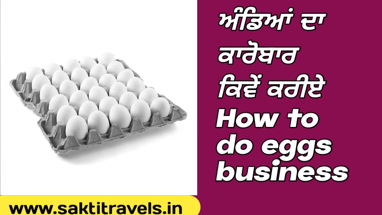 How to do eggs business